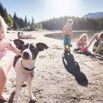 turismo dog friendly