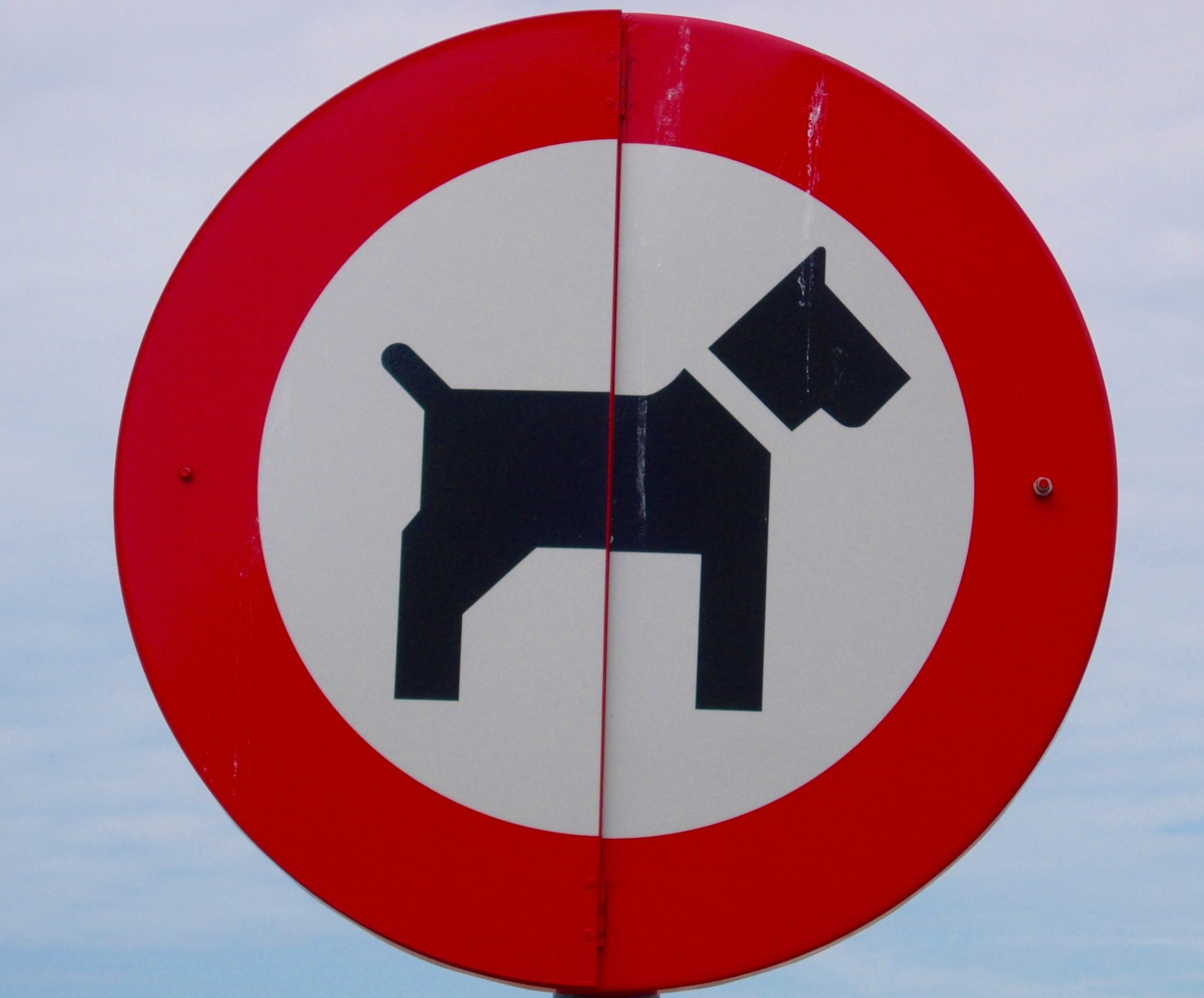 bomba no relacionado agradable Los parques de Barcelona en los que NO puedes entrar con tu perro - Animalados bomba no relacionado agradable Los parques de Barcelona en los que NO puedes entrar con tu perro - Animalados