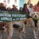 Asociación Protectora La Rioja animalados