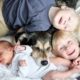 beneficis, animals de companyia