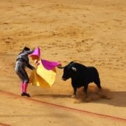 Tauromaquia, coronavirus