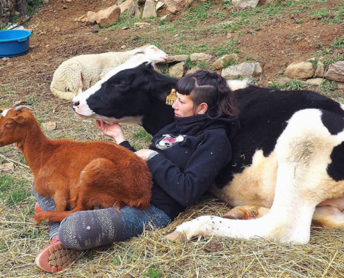 Almas veganas