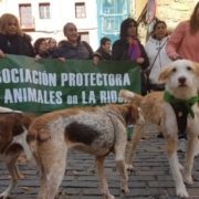 Asociación Protectora La Rioja animalados