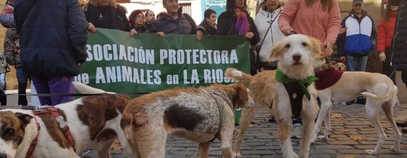 Asociación Protectora La Rioja animalados