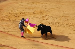 Tauromaquia, coronavirus